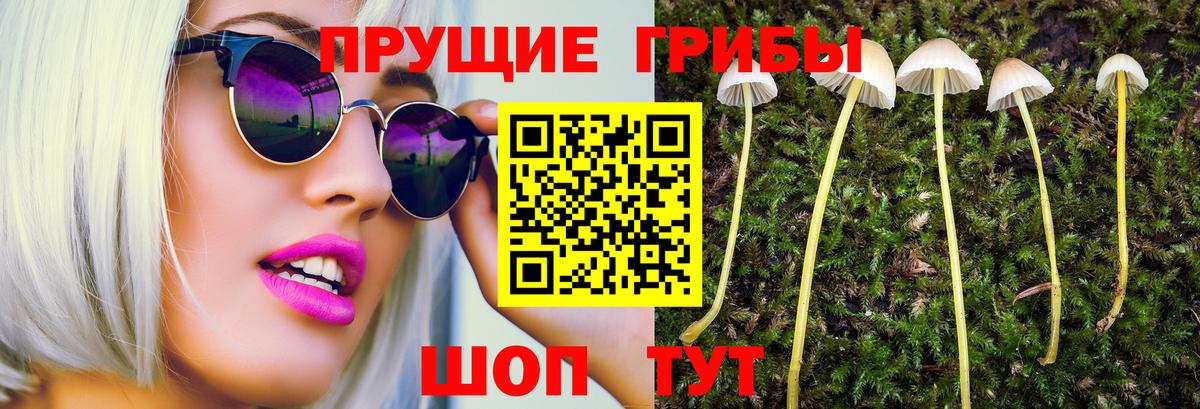 Галлюциногенные грибы Psilocybe  наркотики  Воткинск  Вход с VPN 